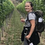 Weingut Lena Flubacher Weinwanderung in Ihringen am Kaiserstuhl Weinflasche Probierpaket Weinprobe Weinpicknick Landvergnügen Zwiebelkuchen